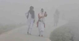 কুয়াশা ও তাপমাত্রা নিয়ে আবহাওয়া অফিসের যে বার্তা দিল