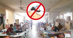 ডেঙ্গুতে মৃত্যুর সংখ্যা আড়াইশ ছাড়াল