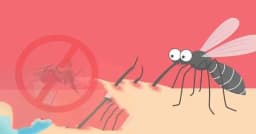 ২৪ ঘণ্টায় ডেঙ্গুতে আরও ৬ জনের মৃত্যু