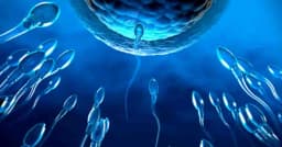 শুক্রাণু কোন বয়সের পর কমতে শুরু করে,কি বলছে গবেষণা