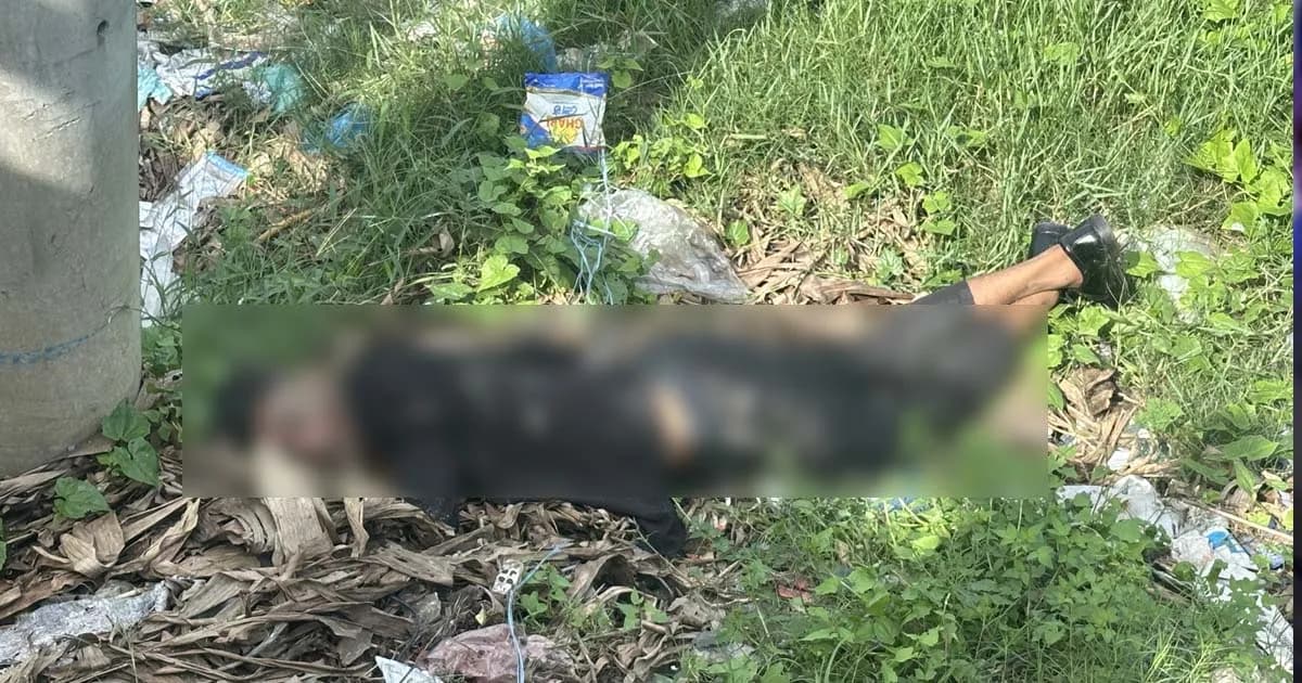 পূবাইলে সড়কের পাশে অজ্ঞাত যুবকের মরদেহ উদ্ধার