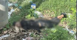 পূবাইলে সড়কের পাশে অজ্ঞাত যুবকের মরদেহ উদ্ধার