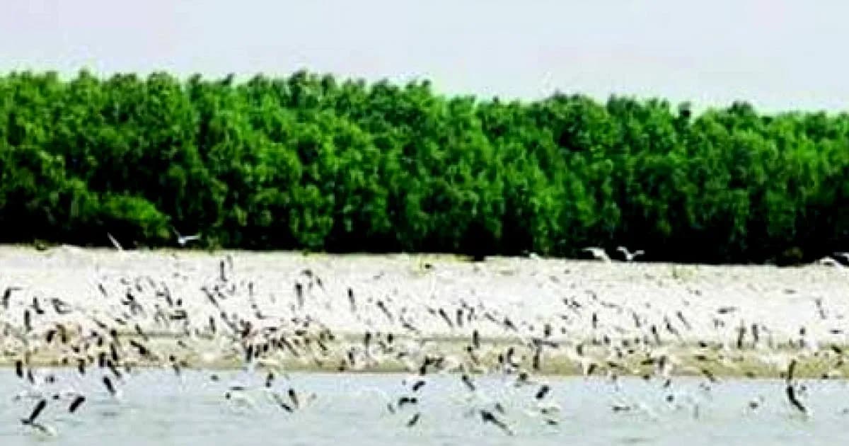 ঘুরে আসতে পারেন ভোলার তারুয়া দ্বীপ, যেভাবে যাবেন জেনে নিন