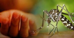 ডেঙ্গুতে আরও ৪ জনের মৃত্যু, আক্রান্ত ছাড়াল ৬০ হাজার