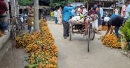 পাইকগাছায় সুপারির হাটে জমে উঠেছে বেচাকেনা
