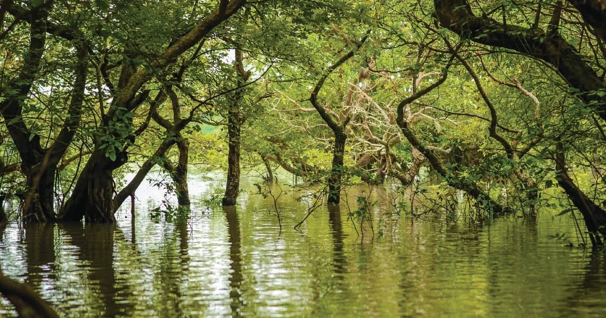 ছুটিতে ঘুরে আসুন দেশের জনপ্রিয় পর্যটন স্পটগুলো