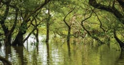 ছুটিতে ঘুরে আসুন দেশের জনপ্রিয় পর্যটন স্পটগুলো