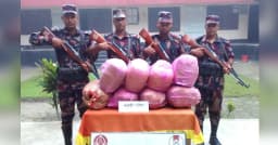 সীমান্তে ১৫ বিজিবি’র বিশেষ অভিযানে ফেন্সিডিল ও গাঁজা জব্দ