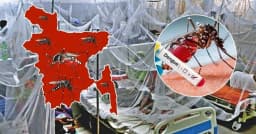 ডেঙ্গুতে একদিনে হাসপাতালে ভর্তি ১১৪৩, মৃত্যু ৪