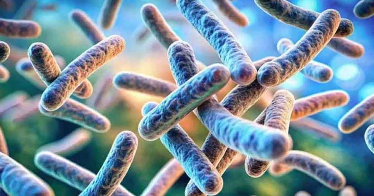 আবারও ১১ জনের শরীরে অ্যানথ্রাক্সের উপসর্গ, যেভাবে ছড়াল