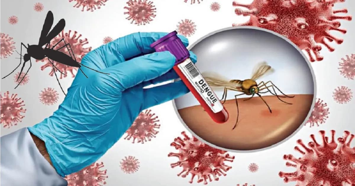 ডেঙ্গুতে আরও ৩ জনের প্রাণহানি, হাসপাতালে ভর্তি ৯২৮