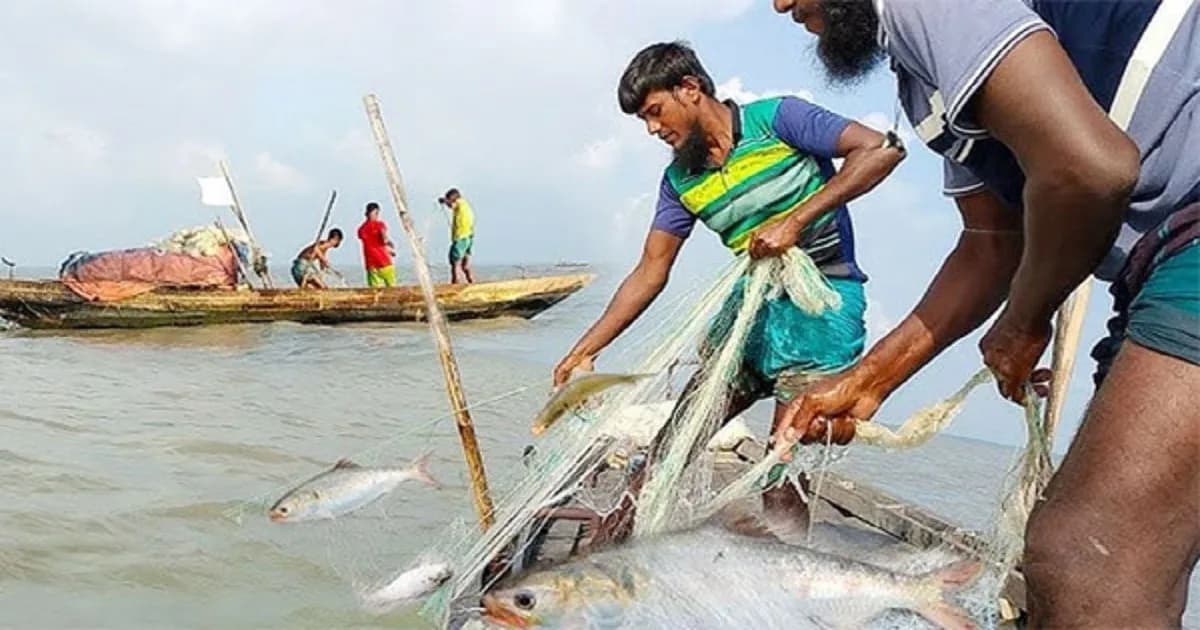 আজ থেকে জাটকা ধরায় নিষেধাজ্ঞা শুরু
