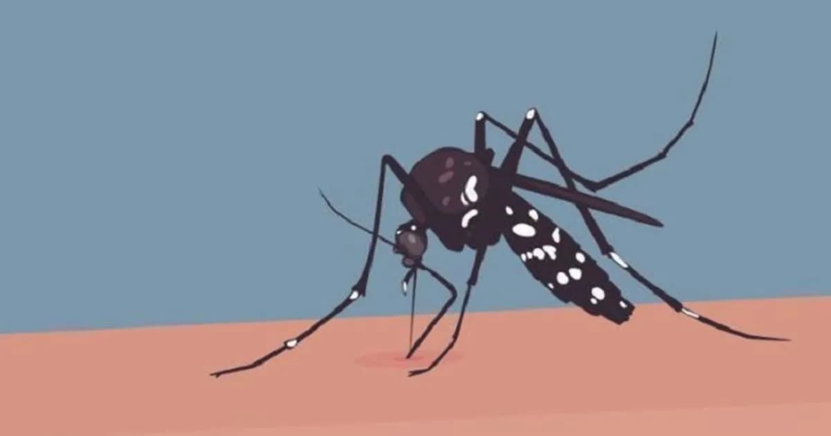 একদিনে ডেঙ্গুতে আরও ৪ জনের মৃত্যু, হাসপাতালে ভর্তি ৮০৩