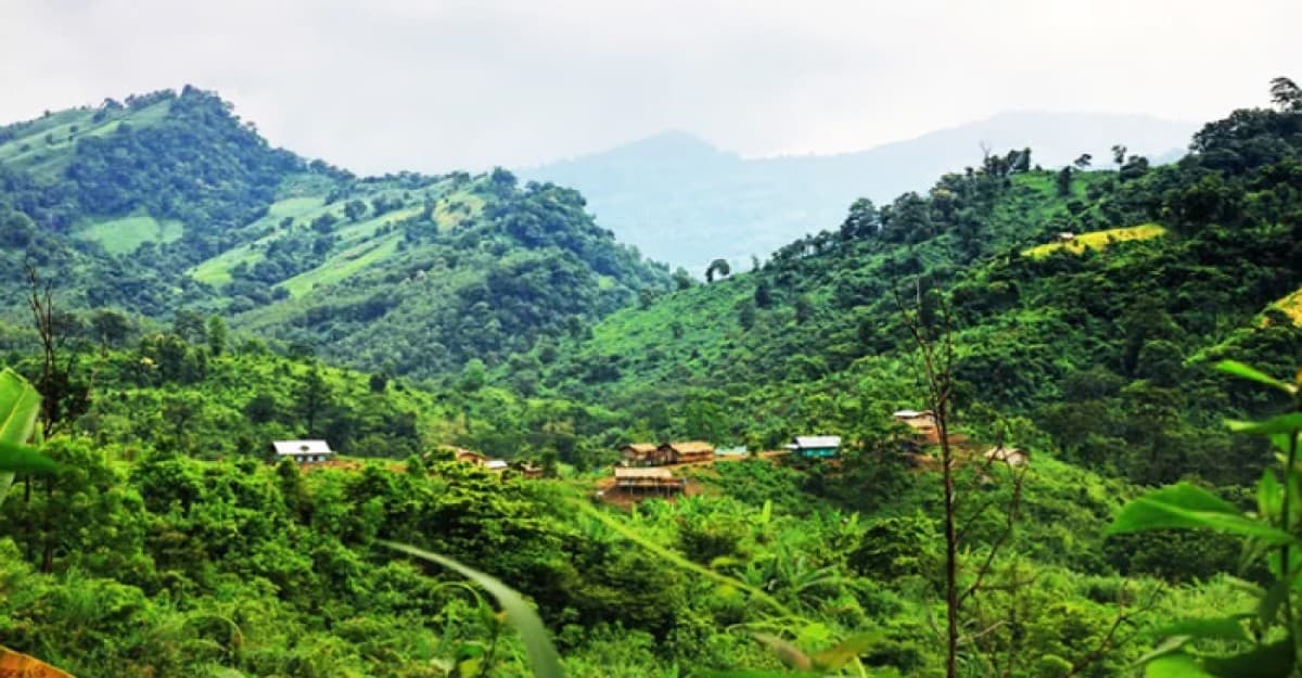 কুকি-চিনের আরও ৩ সদস্য ও গাড়িচালক আটক