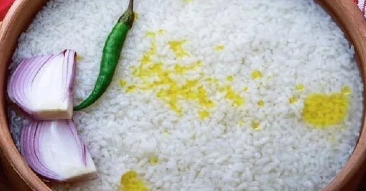 গরমে পান্তা ভাত খাওয়া নিয়ে অজানা তথ্য দিল পুষ্টিবিদরা